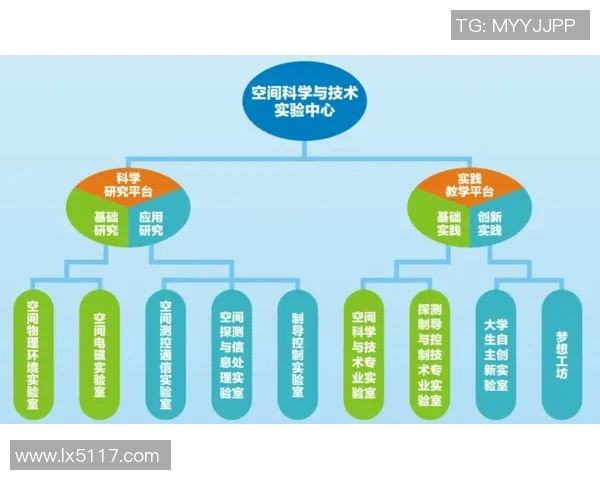 基于科学原理的高效训练方法探索与实践心得分享