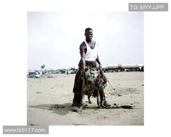 成都攀岩队团队协作引发热议背后的争议与思考