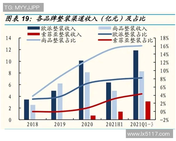 深圳篮球队灵活性分析与战术调整的深度探讨